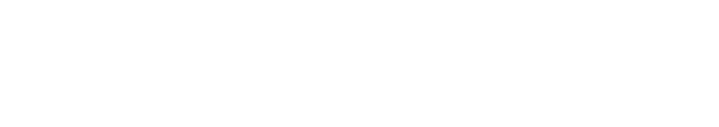 NXT.LVL Logo weiß